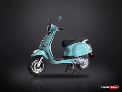 Dibao Pansy XS1 (bản nâng cấp)