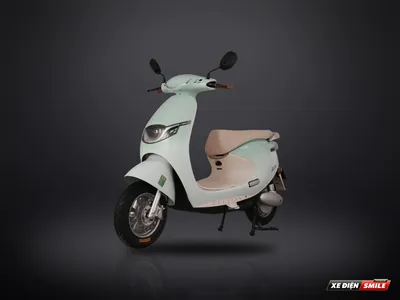 TAILG Venus R53