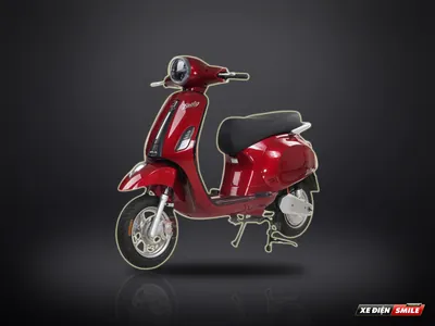 TAILG Vera R51