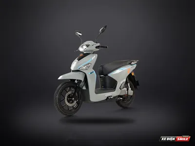 Yadea VOLTGUARD P-L