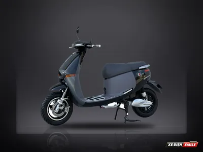 DIBAO Gogo Cross