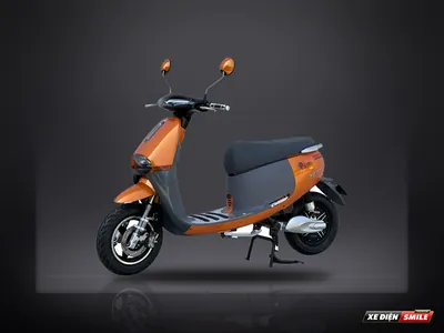 DIBAO Gogo Cross G