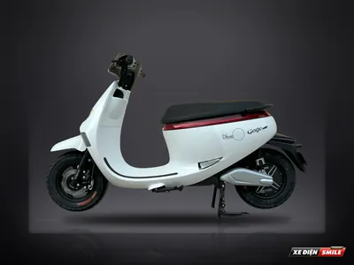 DIBAO Gogo Moon