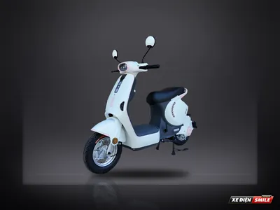 DIBAO M1P 240