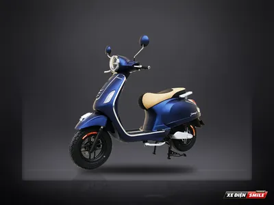 DIBAO Pansy S3