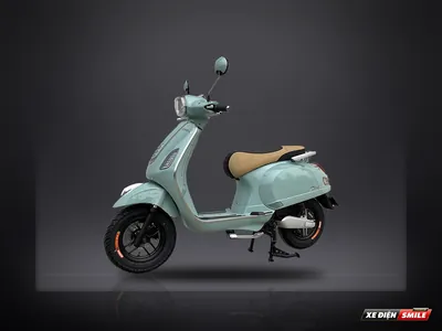 DIBAO Pansy S4 (SV)