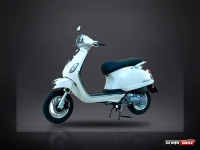 DIBAO Pansy XS1