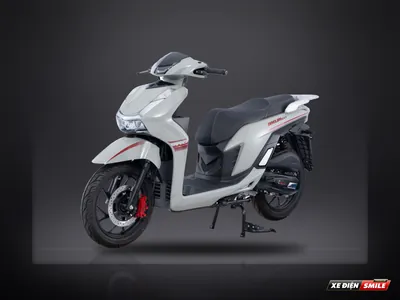 DVMOTOR Daelim Pro X