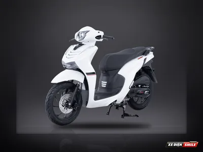 DVMOTOR Daelim Visiem