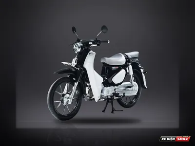 DVMOTOR Kaiser D2