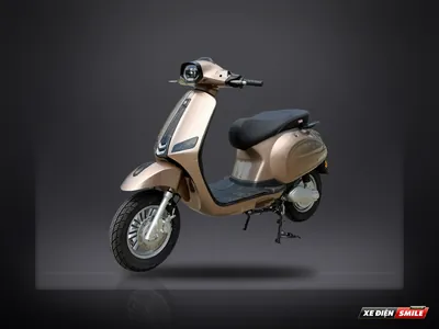 DVMOTOR Takashi Crownd S