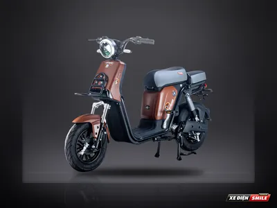DVMOTOR Takashi Figo