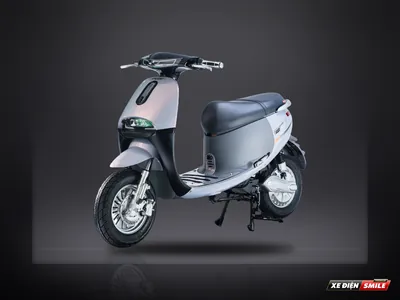 DVMOTOR Takashi Go2