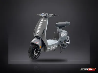 DVMOTOR Takashi Money