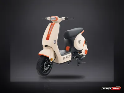DVMOTOR Takashi Mono Plus