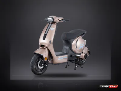 DVMOTOR Takashi Mono Pro