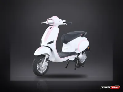 DVMOTOR Takashi Noza X