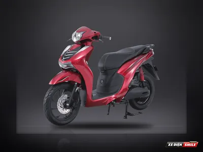 DVMOTOR Takashi Vibera