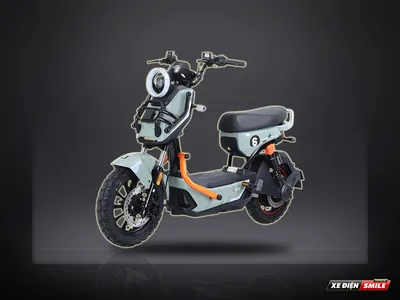 TAILG Discovery X51