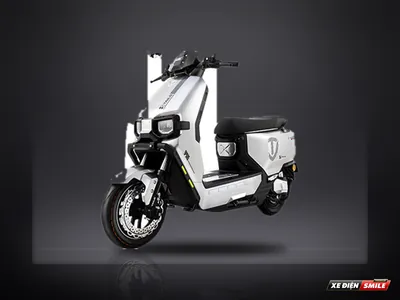 TAILG F55