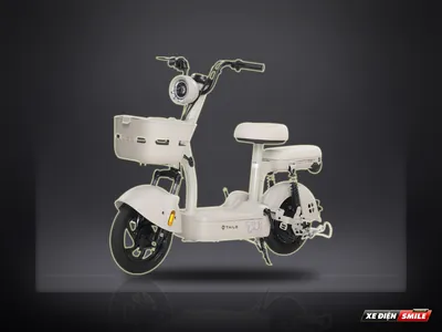 TAILG JY33 Mini Bike