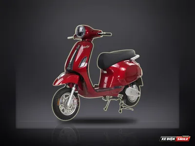 TAILG Vera R51